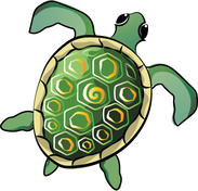 green turtle